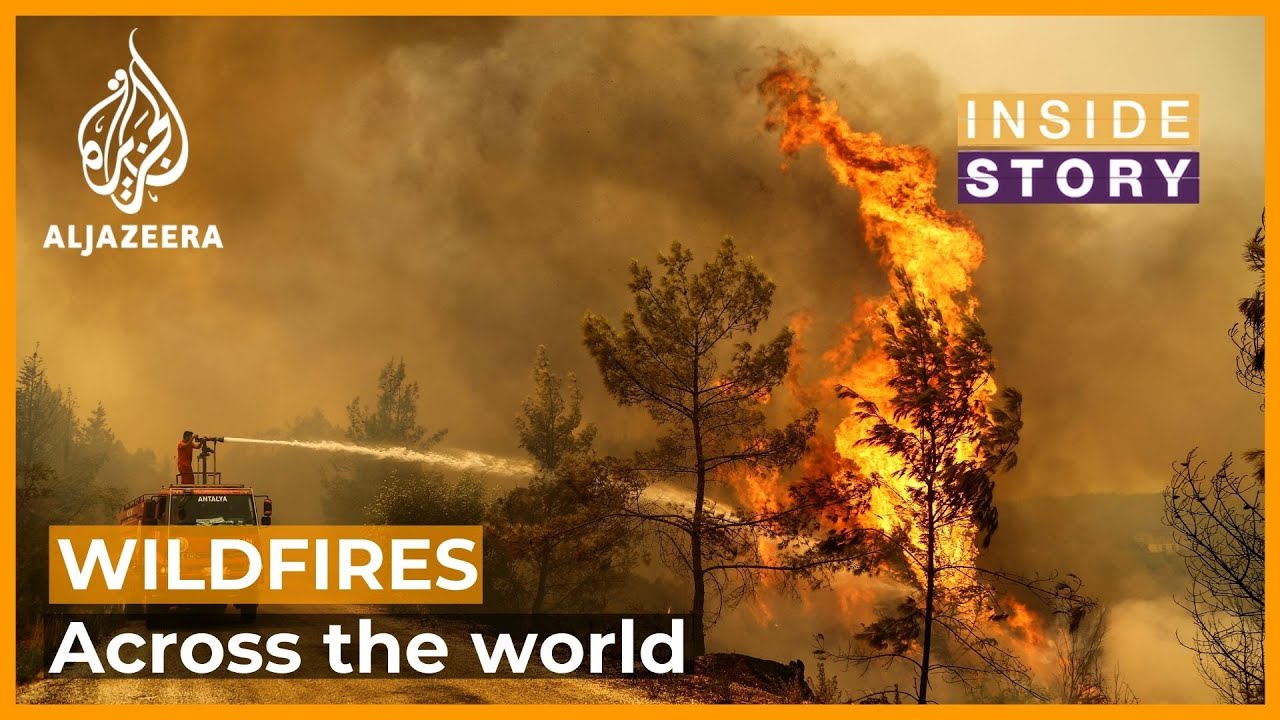 Siberian wildfires now bigger than all other fires in world combined