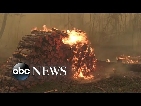Siberian wildfires now bigger than all other fires in world combined