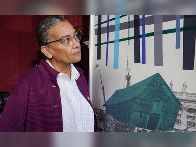 Lubaina Himid: Tories should not meddle with museum boards