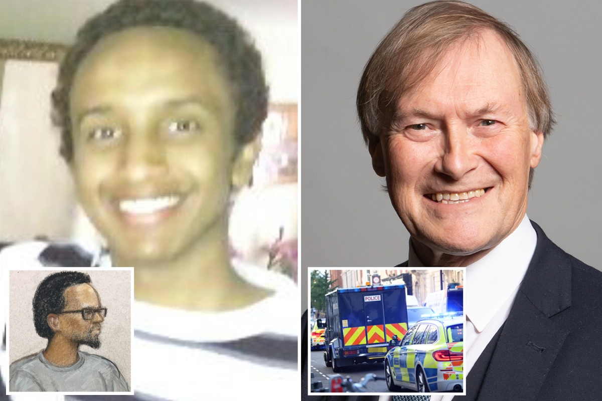Sir David Amess suspect 'plotted terrorism for two-and-a-half YEARS before'