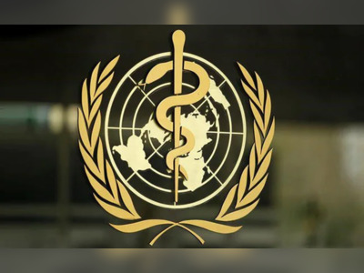 Travel Bans Over New Covid Variant "Attack Global Solidarity": World Health Organisation