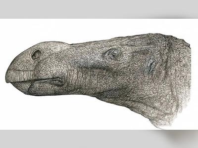 Meet the new species of dinosaur discovered in England