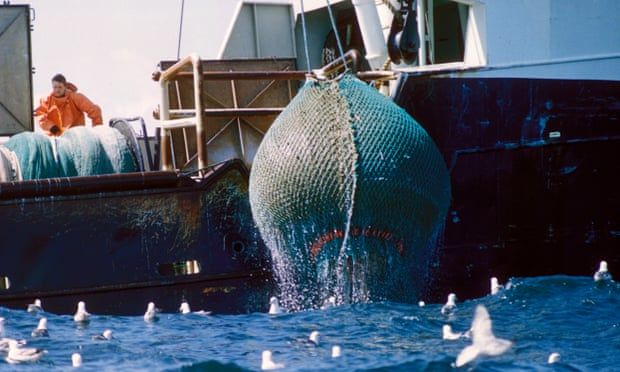Denmark accuses UK of breaking Brexit fishing deal over trawling ban