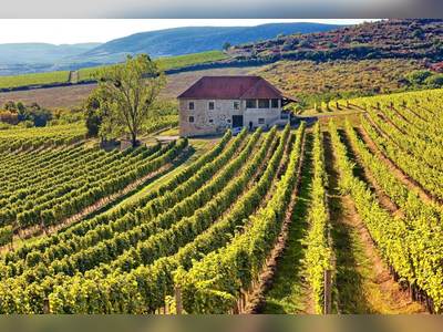 Hungary in the world's top wine tourism destinations!