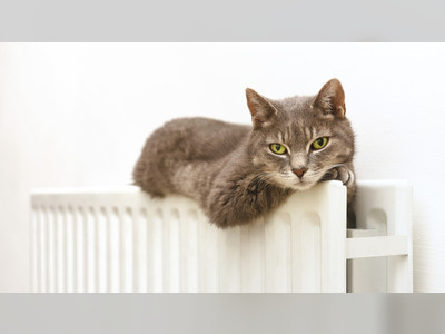 Heating costs double in Europe’s biggest economy