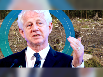 'Red alert': Billions of UK pension money driving deforestation, says Richard Curtis