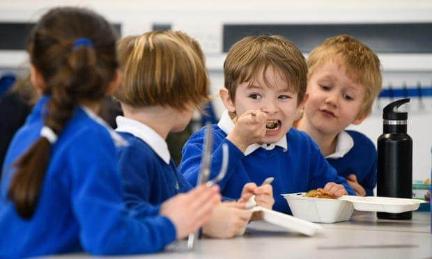 Food agency to check school lunches in England meet standards
