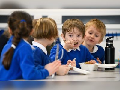 Food agency to check school lunches in England meet standards