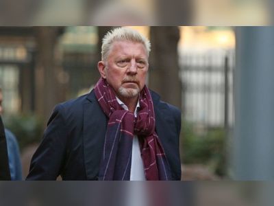 Boris Becker used his business account as piggy bank, court told
