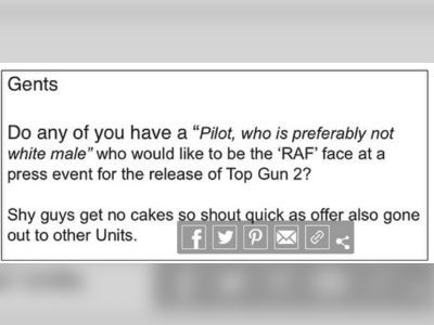 The Royal Air Force apologise for wanting 'preferably not white male' pilot at event