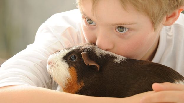 How pets give your kids a brain boost