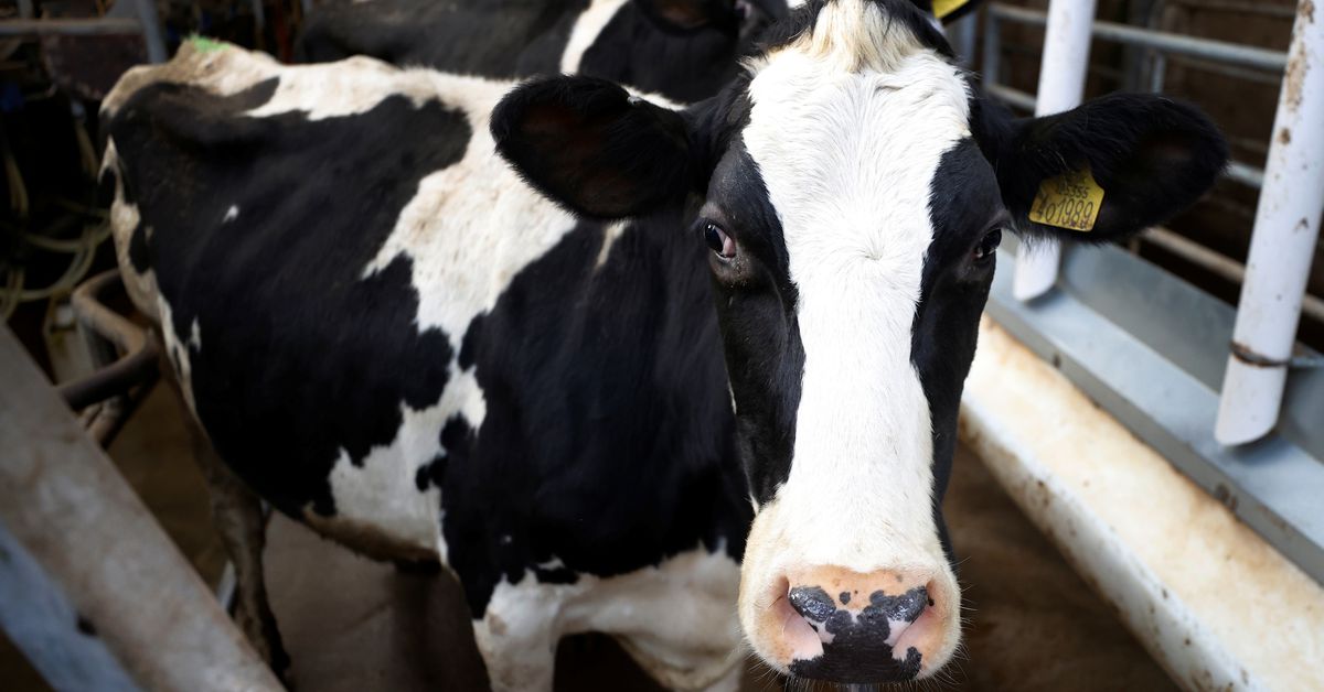 Britain's Tesco raises price it pays milk suppliers again