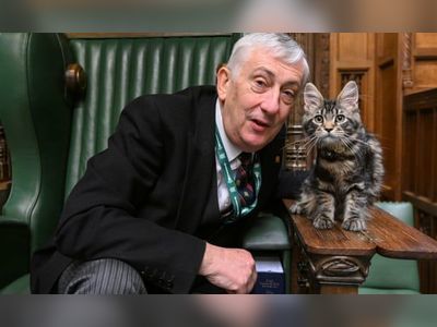 Lindsay Hoyle introduces new Westminster cat named after Clement Attlee