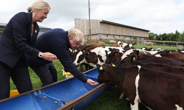 Boris Johnson faces rural fury over post-Brexit food strategy