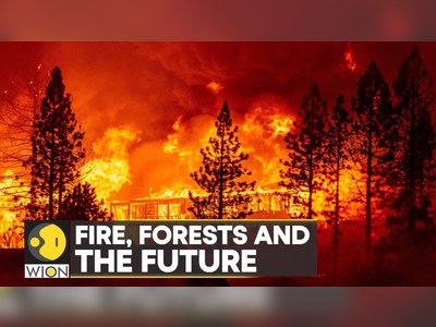 Climate change worsens wildfires: Global warming may be drying the planet