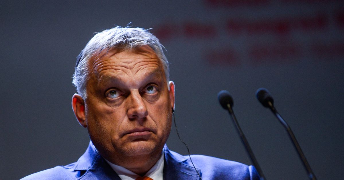 ‘Nazi’ talk: Orbán adviser trashes ‘mixed race’ speech in dramatic exit