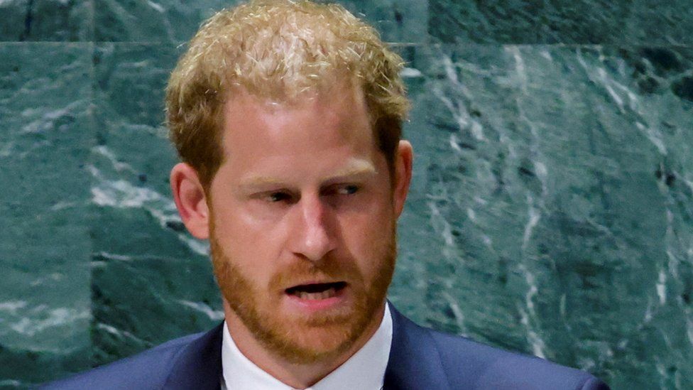 Prince Harry warns UN of global assault on freedom