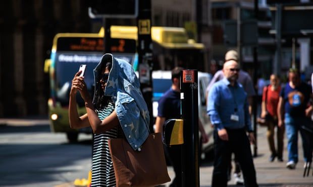 From transport to zoos: how UK services coped in the sweltering heat