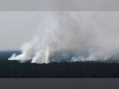 Explosions at munitions site trigger fire at Berlin's Grunewald forest