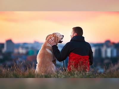 Here are the most pet-friendly cities in the US this year: report