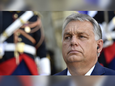 Hungarians want ‘more Chuck Norris’ – Orban