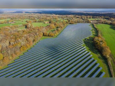 Green Tories back Johnson’s call for successor to invest in renewables