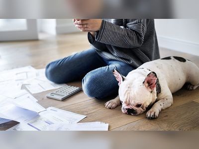 Cost of living: How you can save money on pet care