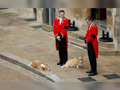 Loyal To The Last, Queen's Corgis And Pony Watch Her Pass