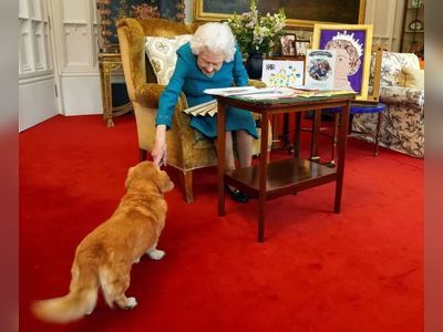 Prince Andrew to care for Queen's beloved corgis