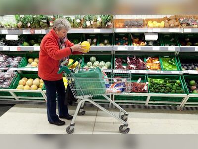 Risk of gaps on UK supermarket shelves if small firms collapse, food sector warns