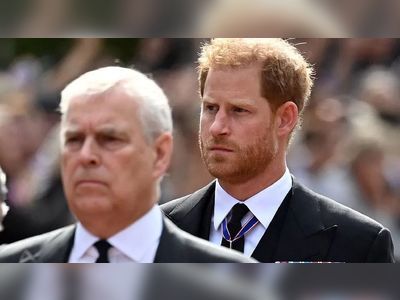 Prince Andrew and Prince Harry royal counsellor roles challenged