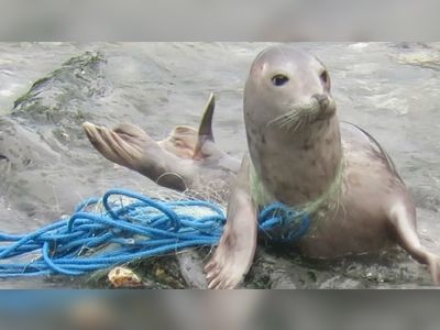 Fishing nets being recycled to help save the sea