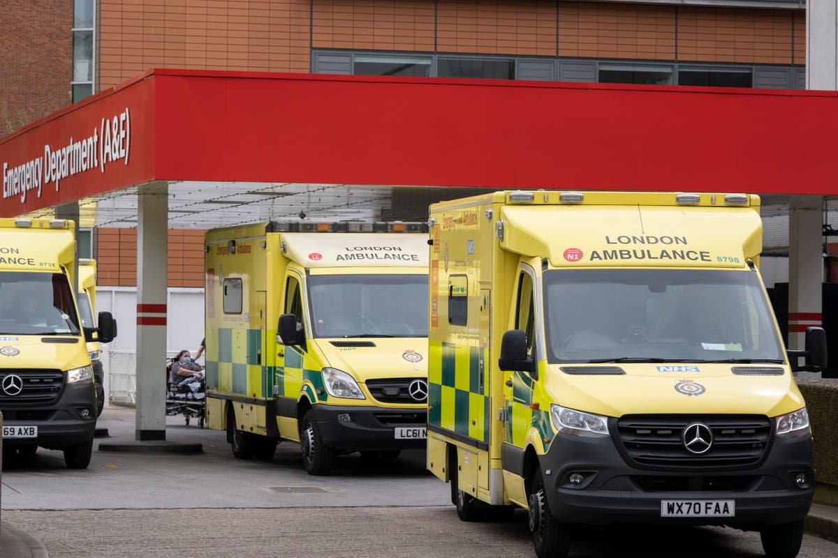 Patients dying as one in four ambulances wait outside London hospitals