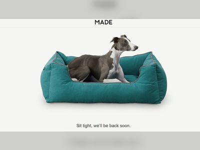 Made.com collapses with loss of all 573 jobs leaving thousands of orders in doubt