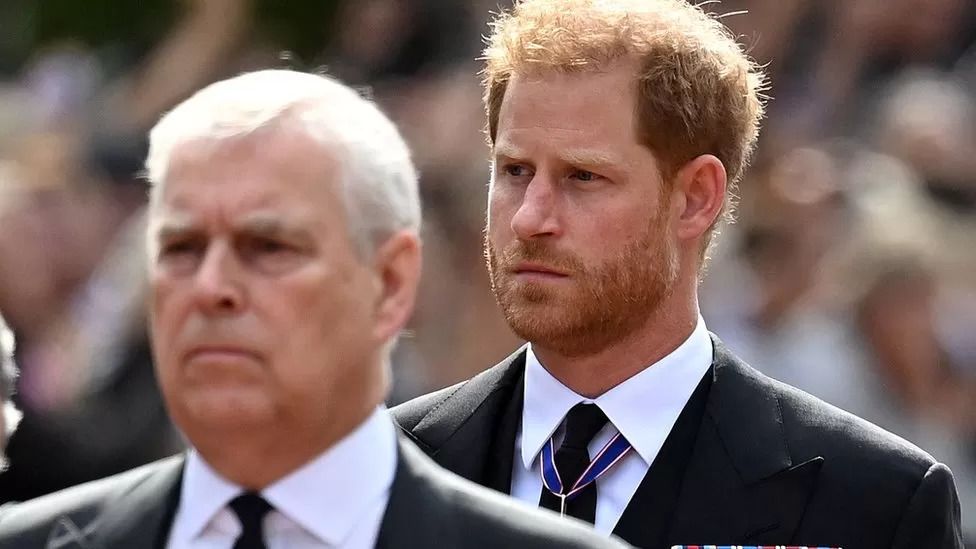 Calls to block Prince Andrew and Prince Harry as royal stand-ins
