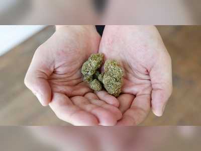 Cannabis giant Curaleaf cut about 220 jobs, then sent the workers it laid off a survey asking why they left