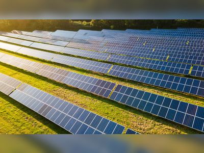 Stricken council-backed solar farms giant to shine light on auction