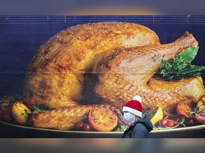 Don’t buy frozen turkey for Christmas, farmer warns