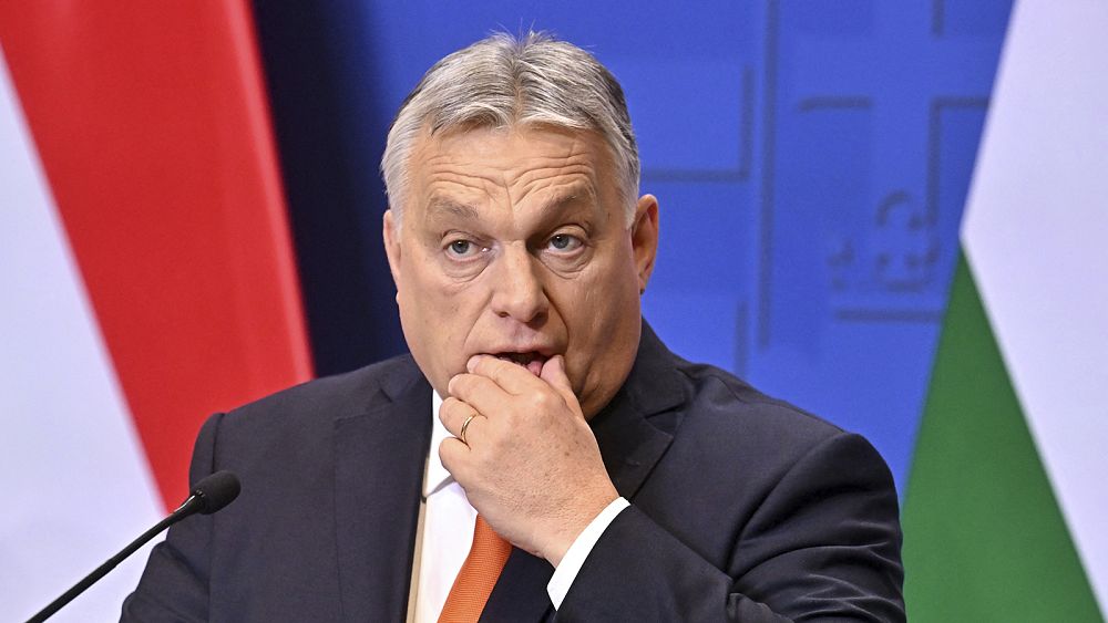 'Drain the swamp': Orban calls for European Parliament to be dissolved
