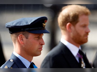 Harry saw ‘red mist’ in William during alleged physical confrontation