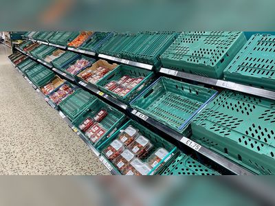 Some suppliers point finger at UK grocers over salad shortages