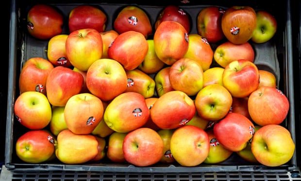 Apples and pears could be next UK food shortage, farmers warn