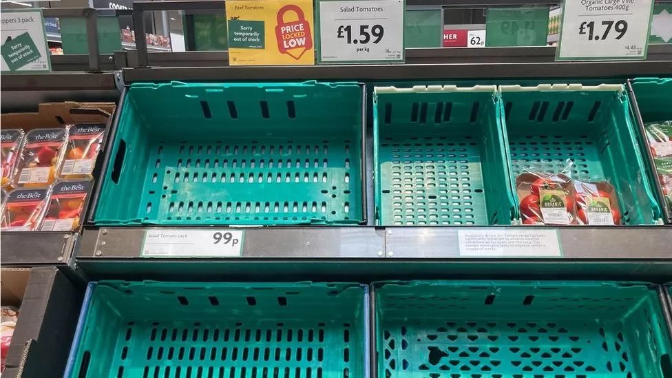 UK supermarkets face tomato shortages