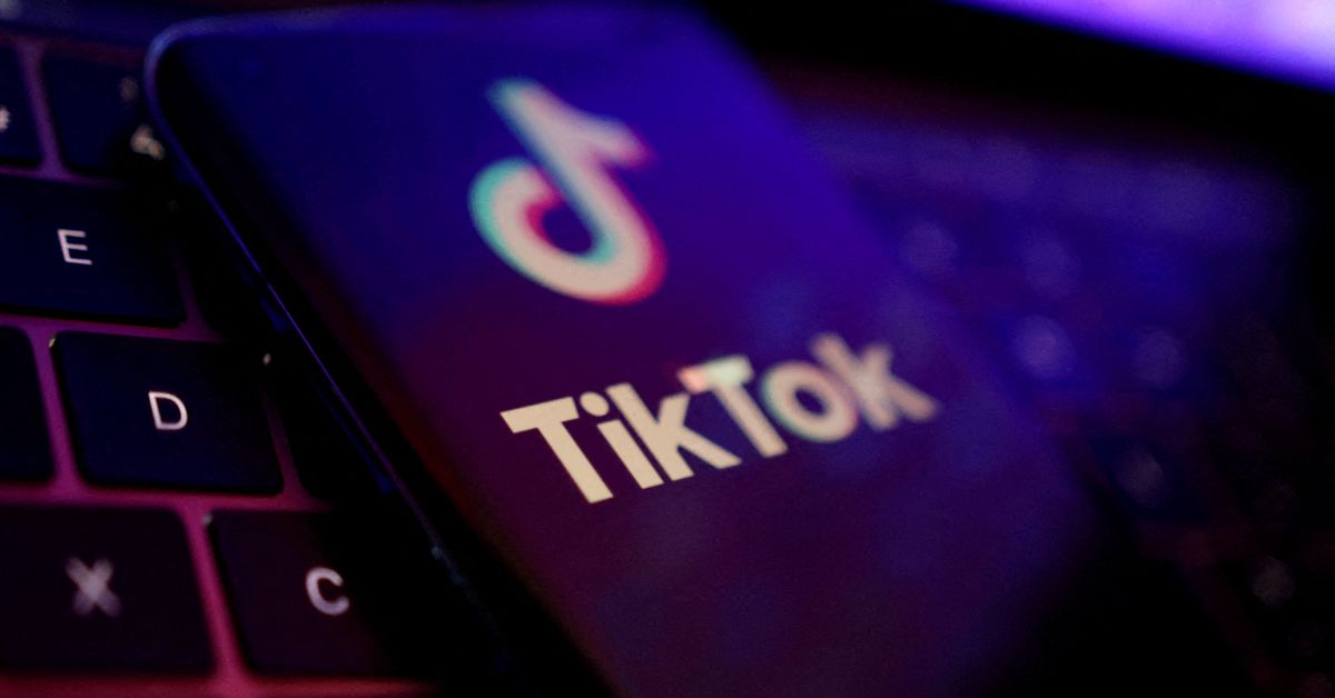 Push to give Biden new powers to ban TikTok moves ahead in Congress