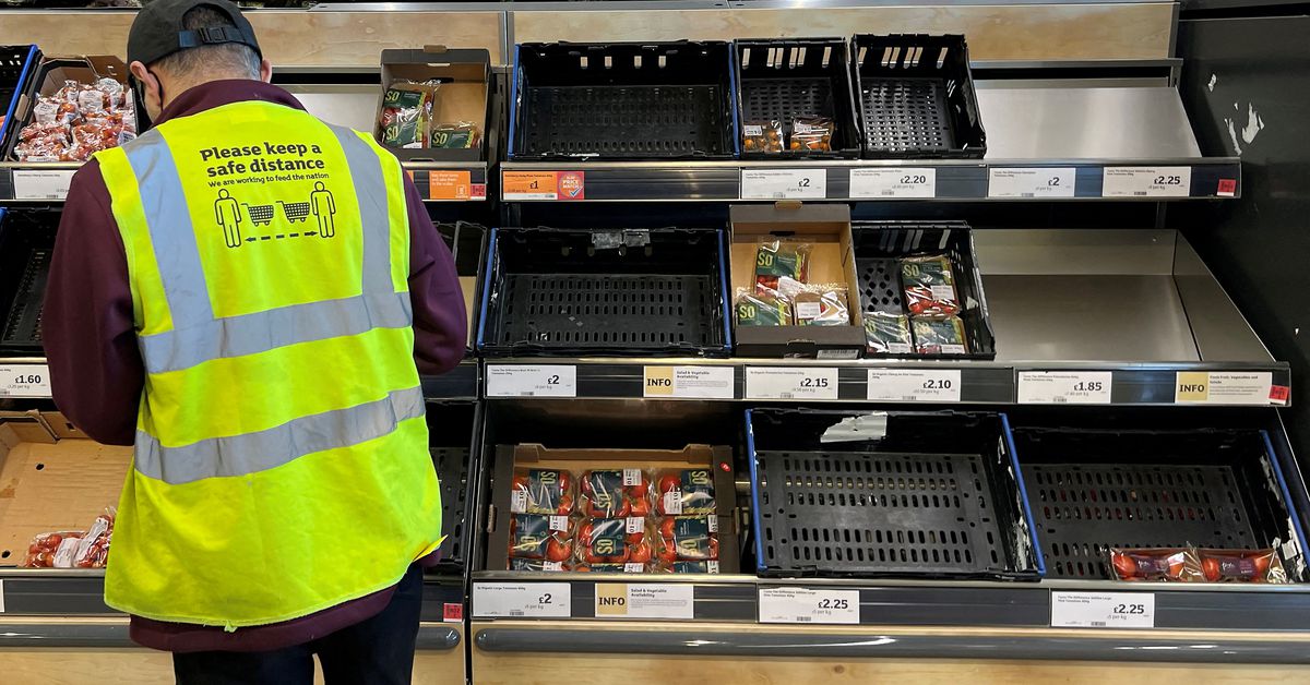 UK salad shortage weighs on supermarket sales -NIQ