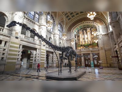 Natural History Museum named UK's most visited indoor attraction for second year running