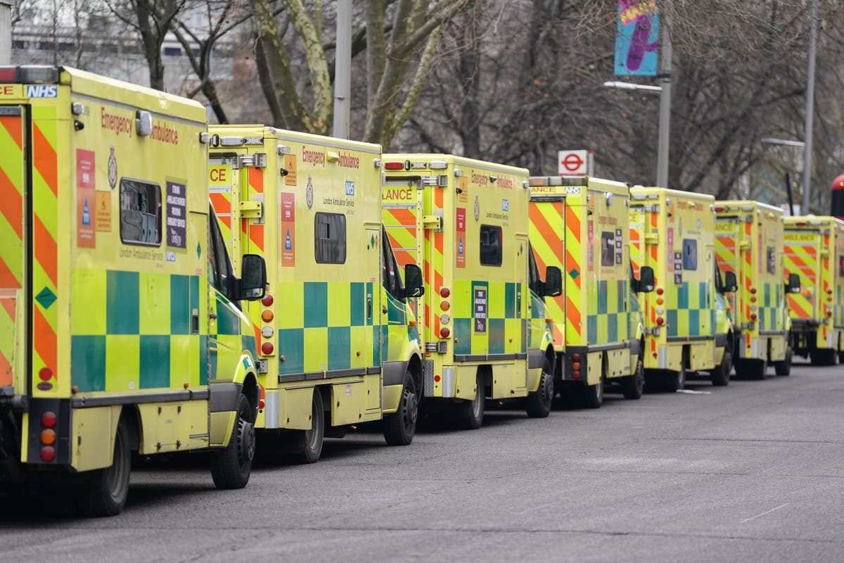 Ambulance strikes called off in London after Government agrees to pay talks