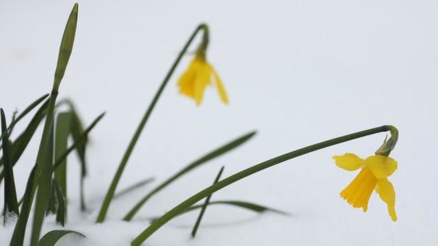 UK Weather: Snow and ice expected in Scotland and north of England