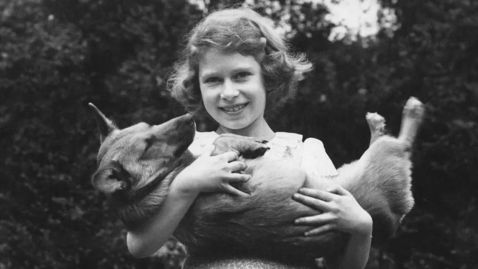 The Queen and her corgis shown in photo exhibition