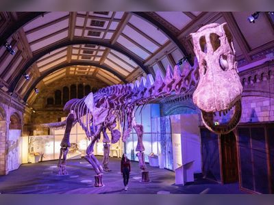 Gigantic dinosaur skeleton on show in London